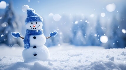 Fototapeta premium snowman on the snow