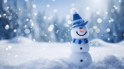 Obraz premium snowman on the snow