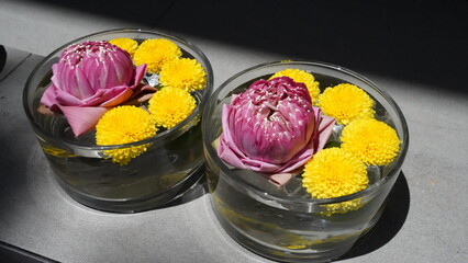 Chrysanthemums, often referred to as 