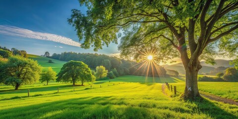 Sunlight filtering through trees onto lush green fields in peaceful rural setting, Sun-dappled, tranquil, countryside, sunbeams