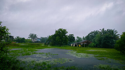 heavy rainfall in the village of india.