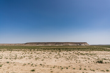 マンギスタウのウスチュルト台地