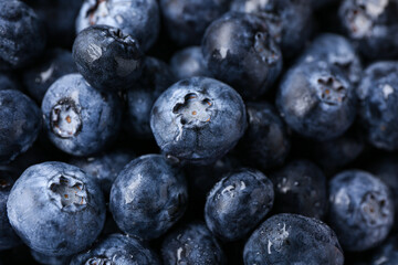 Texture of sweet fresh blueberries as background, closeup