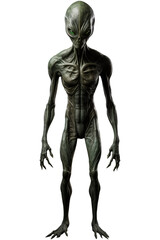 Fototapeta premium Extraterrestrial Alien PNG isolated Space Martian life on a white and Transparent background - Space species First contact Alien civilization Space Concept