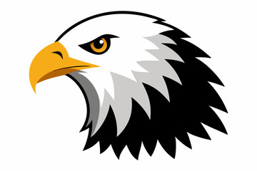 Eagle head illustration in high detail, perfect for branding, logos, and wildlife themes.