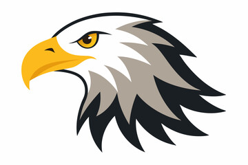 Fototapeta premium Eagle head illustration in high detail, perfect for branding, logos, and wildlife themes.