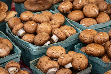 Containers of Creeni Mushrooms at the Farmer's Market