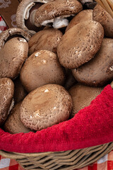 Portabello Mushrooms for Sale at the Farmer's Market