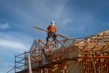 Carpenter lifting boards and walking on top of a wood framed roof at a consrtuction site