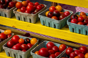 Cherry Tomatoes and Grape Tomatoes for sale at the farmers market