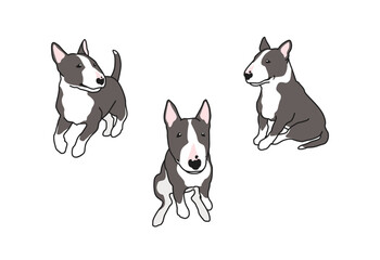 ブルテリアのシンプルなイラストセット