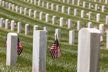 Arlington National Cemetery, Washington D.C.
