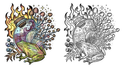 Celestial mystic mushrooms with magic and floral decorative design elements, frog, witchcraft symbols isolated on white. Esoteric and witchy objects, tattoo concept, hand drawn colorful clipart