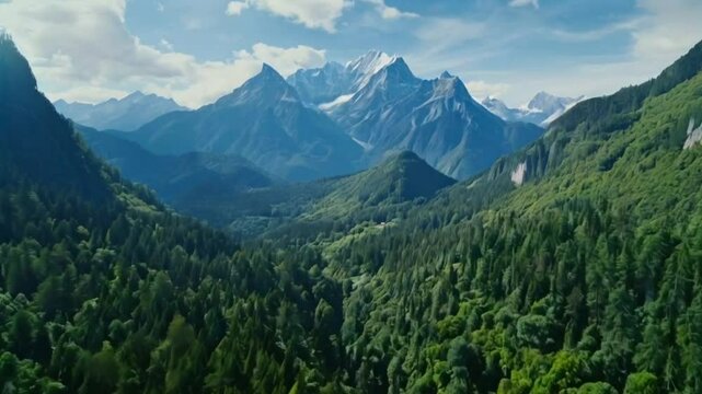 Mountain Ranges with Forest