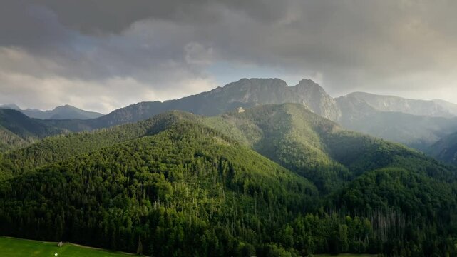 Beech Forest Mountains And Valleys Over Dolina Strązyska Park In Zakopane, Poland. Aerial Shot
