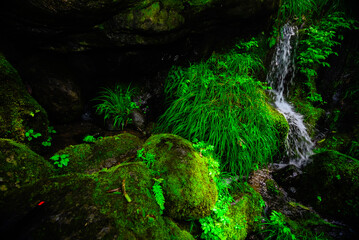 【熊本】菊池渓谷