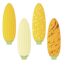 とうもろこしのイラスト