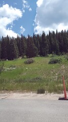 The Last Splash of Spring