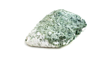 Trichoderma harzianum on white background.