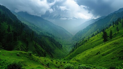 Fototapeta premium Serene Lush Green Mountain Valley