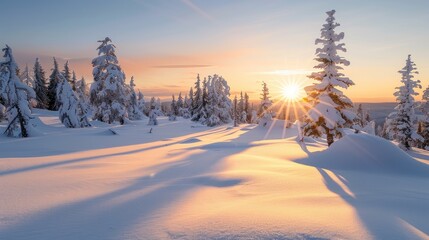 Fototapeta premium Sunrise Over Snow-Covered Pine Forest