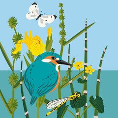 vector drawing king fisher, butterfly and bur-reed, wild water bird and plants at blue river and sky background, hand drawn illustration