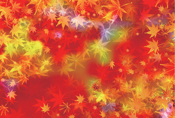 紅葉　葉　秋　背景