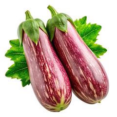 Two Graffiti Eggplants with Leaves