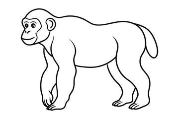 Gorillas Drawing Images line art vector design