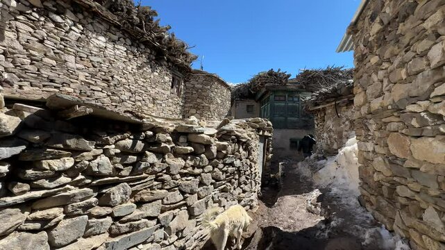 views of kee monastery in spiti valley, india