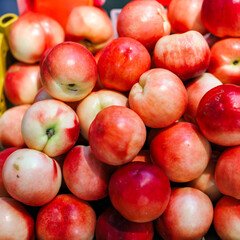 fresh Nectarine fruit background sale in fruits market