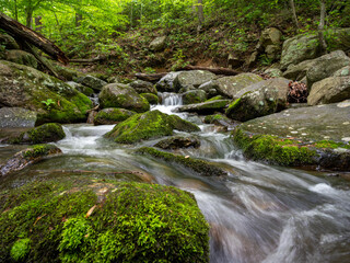 waterfall in the forest