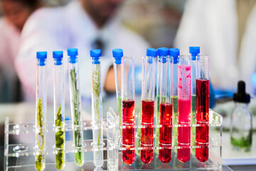 Scientific tubes containing chemicals and plant samples from which substances can be extracted to make medicines for use in humans and animals. With a background as a scientist preparing experiment.