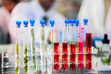 Scientific tubes containing chemicals and plant samples from which substances can be extracted to make medicines for use in humans and animals. With a background as a scientist preparing experiment.