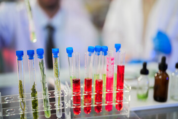 Scientific tubes containing chemicals and plant samples from which substances can be extracted to make medicines for use in humans and animals. With a background as a scientist preparing experiment.