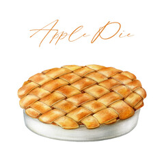 Apple pie whole piece in white plate painted illustration. Hand drawn baked traditional dessert. Apple pie on white background