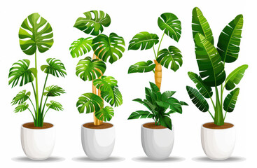 Obraz premium Trendy potted plants perfect for home decor. Discover Alocasia, Monstera, and more in this stylish clipart set.