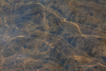 Clear lake bottom background texture, Lake Tahoe, California