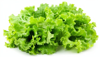 a fresh ripe lettuce on a white background