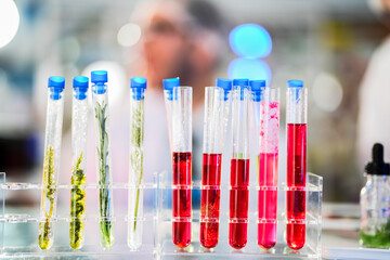 Scientific tubes containing chemicals and plant samples from which substances can be extracted to make medicines for use in humans and animals. With a background as a scientist preparing experiment.