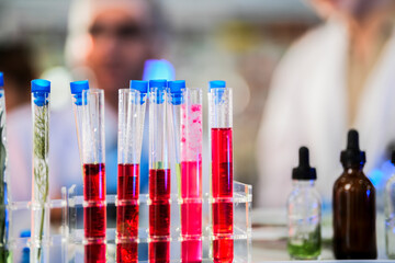 Scientific tubes containing chemicals and plant samples from which substances can be extracted to make medicines for use in humans and animals. With a background as a scientist preparing experiment.