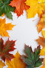 Obraz premium Colorful Autumn Maple Leaves Border Frame on White Background, Top View, Copy Space for Text