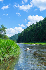 綺麗な水が流れる夏の八東川の風景 鳥取県 若桜町