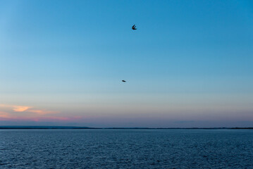 beautiful sunset on the sea view from afar swallows over the sea