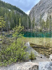 i am walking alone in nature