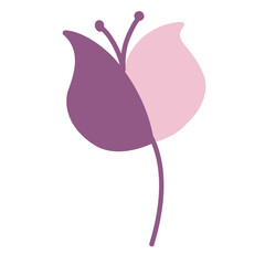 Illustration frame purple line flower icon sticker decoration