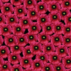 Poppy floral seamless pattern design on dark background