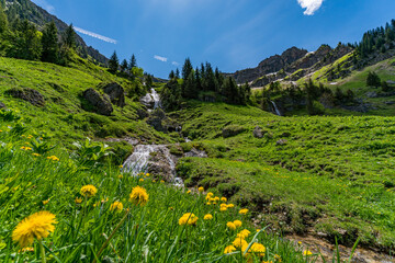 Mountain tour over the Brunnenauscharte to the Hochgrat on the Nagelfluhkette