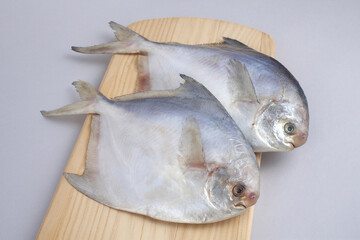 Close up of two raw pomfrets on wood cutting board and white floor, South Korea
