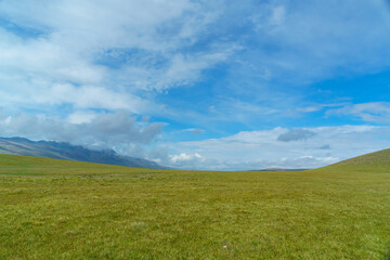 Mountain meadow with snow-capped peaks, lush greenery, cloudy sky. Ideal for nature lovers seeking tranquility, scenic beauty, and outdoor adventures like hiking and exploring.